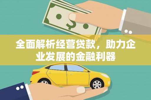 苏澳全面解析经营贷款，助力企业发展的金融利器