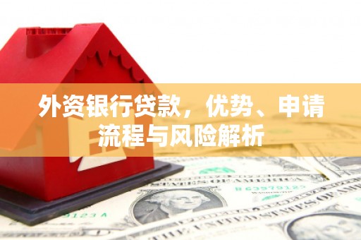 苏澳外资银行贷款，优势、申请流程与风险解析