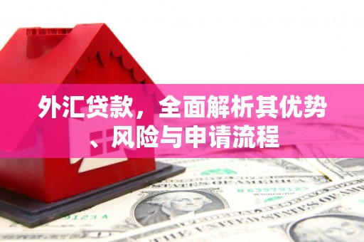 苏澳外汇贷款，全面解析其优势、风险与申请流程