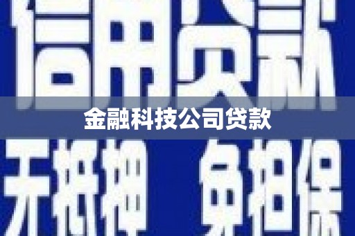 苏澳金融科技公司贷款