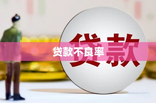苏澳贷款不良率