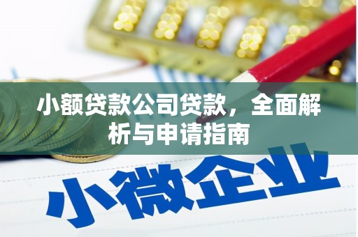 苏澳小额贷款公司贷款，全面解析与申请指南