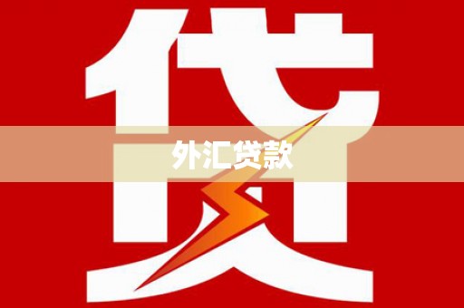 苏澳外汇贷款