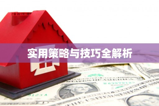 苏澳实用策略与技巧全解析