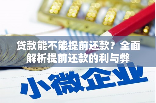 苏澳贷款能不能提前还款？全面解析提前还款的利与弊