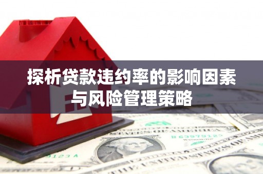 苏澳探析贷款违约率的影响因素与风险管理策略