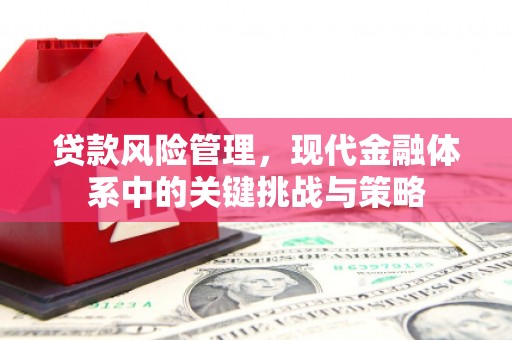 苏澳贷款风险管理，现代金融体系中的关键挑战与策略