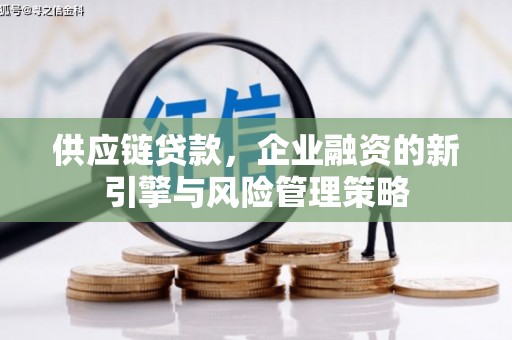 苏澳供应链贷款，企业融资的新引擎与风险管理策略