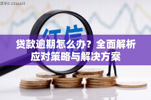 苏澳贷款逾期怎么办？全面解析应对策略与解决方案