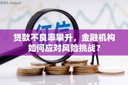 苏澳贷款不良率攀升，金融机构如何应对风险挑战？