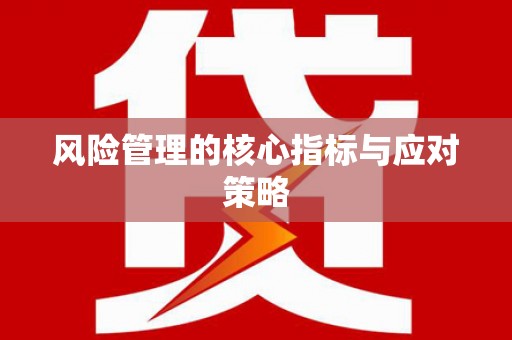 苏澳风险管理的核心指标与应对策略