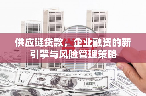 苏澳供应链贷款，企业融资的新引擎与风险管理策略
