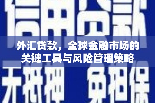 苏澳外汇贷款，全球金融市场的关键工具与风险管理策略