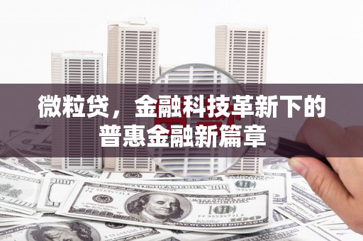 苏澳微粒贷，金融科技革新下的普惠金融新篇章