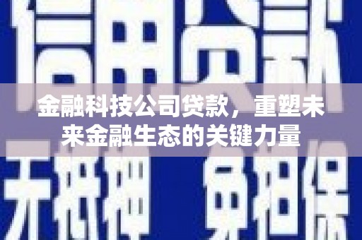 苏澳金融科技公司贷款，重塑未来金融生态的关键力量