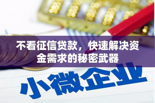 苏澳不看征信贷款，快速解决资金需求的秘密武器