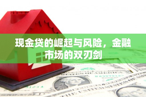 苏澳现金贷的崛起与风险，金融市场的双刃剑