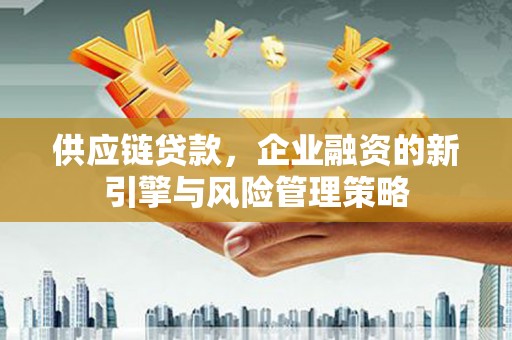 苏澳供应链贷款，企业融资的新引擎与风险管理策略
