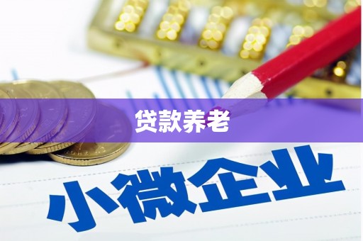 苏澳贷款养老