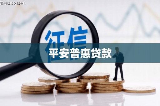 苏澳平安普惠贷款