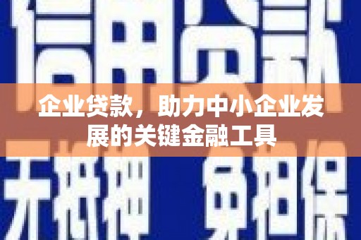 苏澳企业贷款，助力中小企业发展的关键金融工具