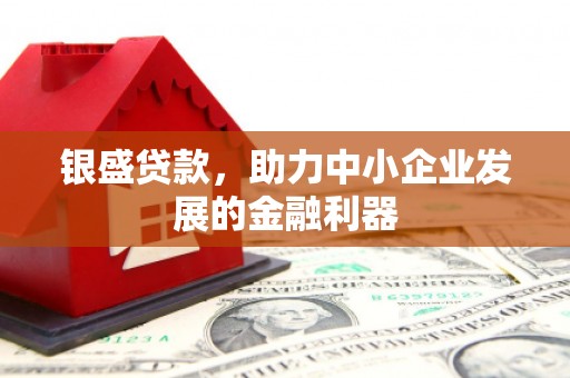 苏澳银盛贷款，助力中小企业发展的金融利器