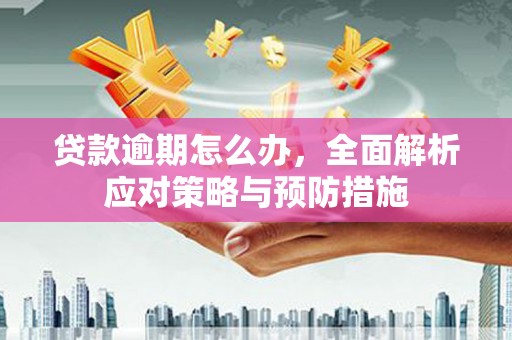 苏澳贷款逾期怎么办，全面解析应对策略与预防措施