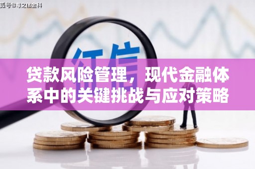 苏澳贷款风险管理，现代金融体系中的关键挑战与应对策略