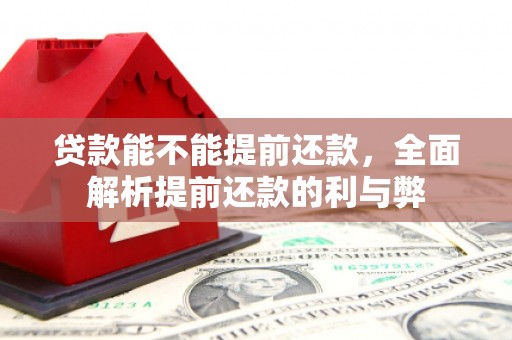 苏澳贷款能不能提前还款，全面解析提前还款的利与弊