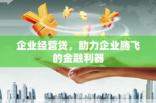 苏澳企业经营贷，助力企业腾飞的金融利器