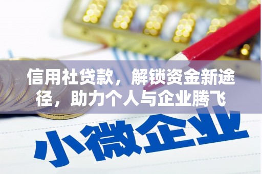 苏澳信用社贷款，解锁资金新途径，助力个人与企业腾飞