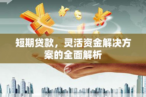 苏澳短期贷款，灵活资金解决方案的全面解析