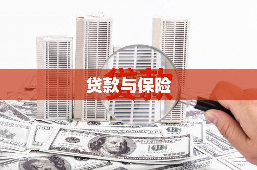 苏澳贷款与保险