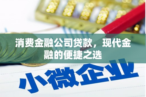 苏澳消费金融公司贷款，现代金融的便捷之选