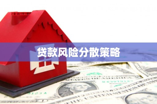 苏澳贷款风险分散策略