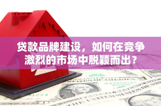 苏澳贷款品牌建设，如何在竞争激烈的市场中脱颖而出？