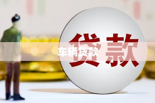 苏澳车辆贷款