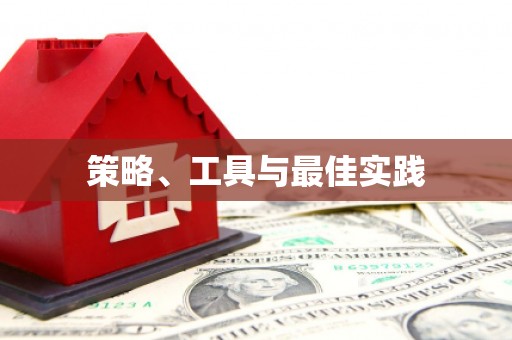 苏澳策略、工具与最佳实践