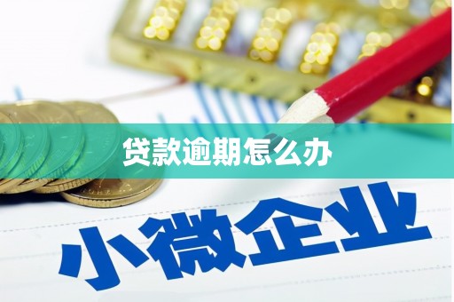 苏澳贷款逾期怎么办