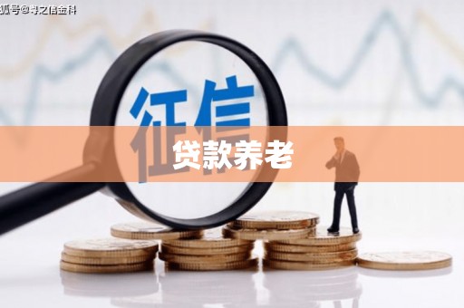 苏澳贷款养老