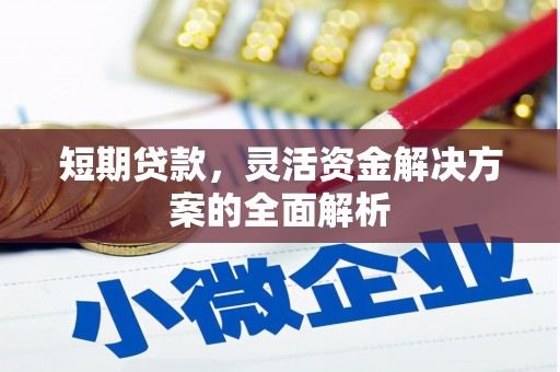 苏澳短期贷款，灵活资金解决方案的全面解析