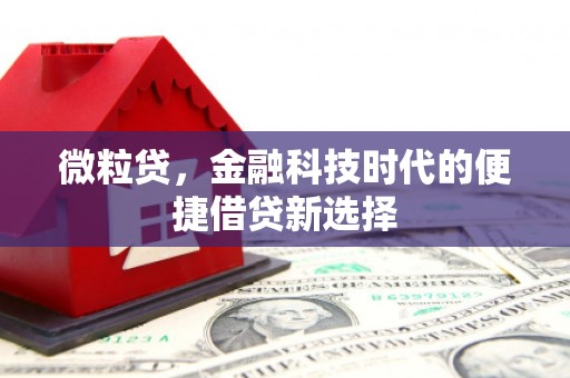 苏澳微粒贷，金融科技时代的便捷借贷新选择
