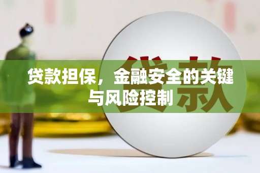 苏澳贷款担保，金融安全的关键与风险控制