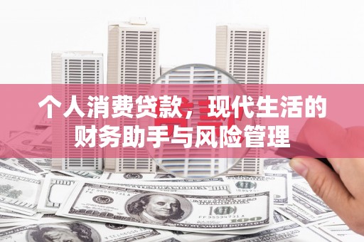 苏澳个人消费贷款，现代生活的财务助手与风险管理