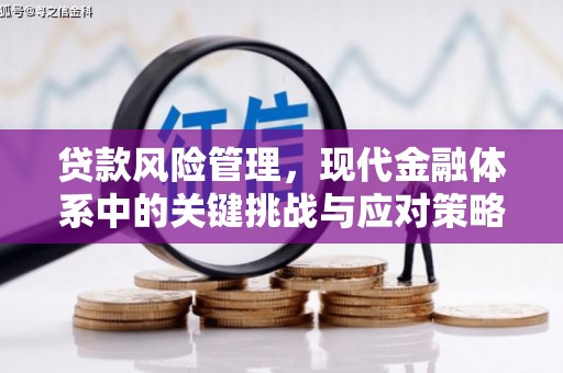苏澳贷款风险管理，现代金融体系中的关键挑战与应对策略