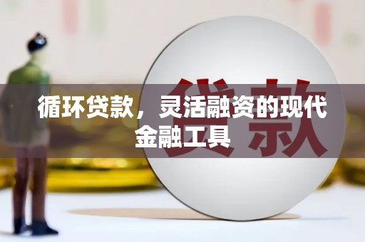 苏澳循环贷款，灵活融资的现代金融工具