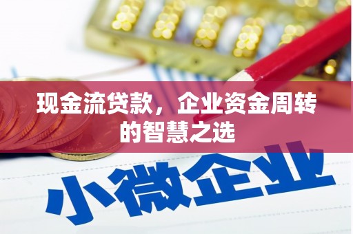 苏澳现金流贷款，企业资金周转的智慧之选