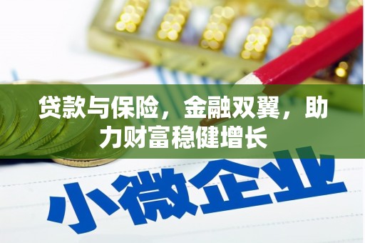 苏澳贷款与保险，金融双翼，助力财富稳健增长