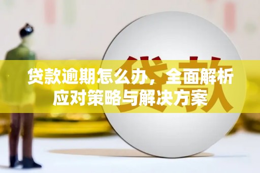 苏澳贷款逾期怎么办，全面解析应对策略与解决方案
