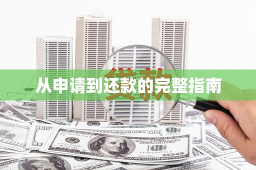 苏澳从申请到还款的完整指南